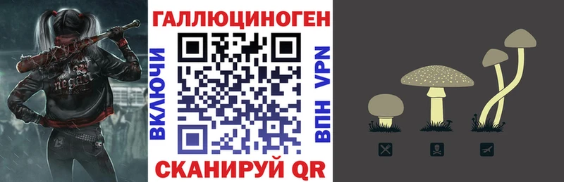 Галлюциногенные грибы Psilocybine cubensis  Петровск-Забайкальский 